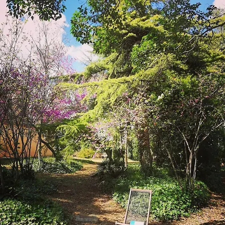Masia Del Marques Olerdola